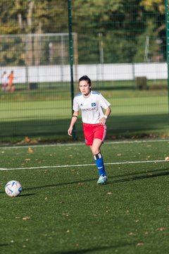 Bild 29 - F Hamburger SV 3 - Walddoerfer SV 2 : Ergebnis: 5:2